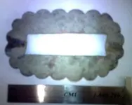 Buckle2.webp
