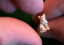 14k cat earring 1.webp