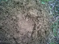 IMG00037-20110422-1424.webp