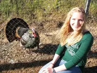 turkey4.webp