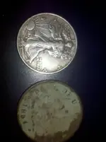 coins.webp