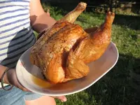 chicken6.webp