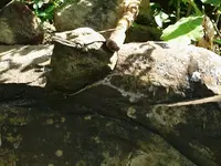 picture 3.webp