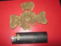 flower whatzit.webp