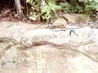 picture_1[1].webp
