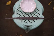 Spear and porcelain.webp