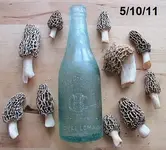 5-10-11 01.webp