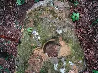 picture_2[1].webp