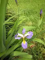 P3280063.webp