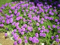 P3280001.webp