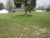 YARD01.webp