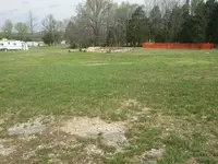 YARD02.webp