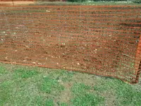 YARD05.webp