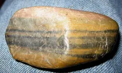 petrifiedwood4.webp