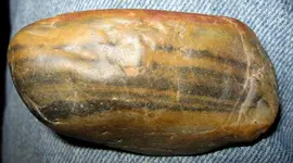 petrifiedwood5.webp