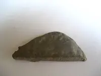silver cob 2.webp
