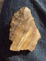 DSC01326.webp