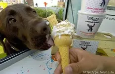 MMM.  This stuff is yummy.webp