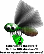 skeeters.webp skeeters.webp