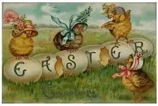 chicks.webp