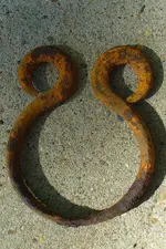 Harness ring.webp