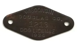 dogtag1.webp