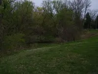 Grass Buck.webp