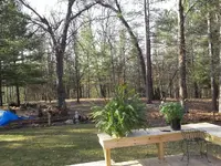 100_0004.webp