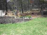 100_0007.webp