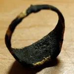 Pond Finds (2).webp