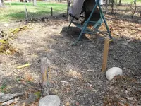 100_0013.webp