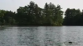 fishing 071.webp