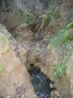 100_0793.webp
