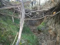 100_0795.webp