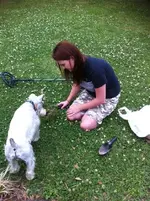 photo.webp
