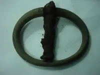Buckle resized.webp