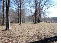 100_6753.webp 100_6753.webp