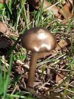 100_6758.webp 100_6758.webp