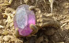 Ring Purple Stone.webp