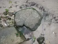 heart on beach.webp