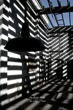 The boiler room.webp