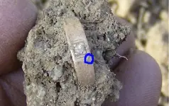 ring.webp