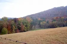 100_1838.webp