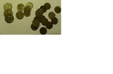 dfxvxlt.webp