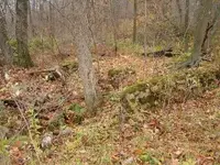 hole 2.webp