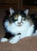 auntbea.webp