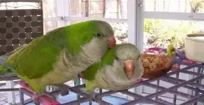 000_1232.webp