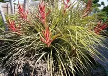 000_1234.webp