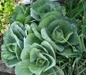 000_1236_0001.webp