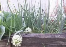 000_1237.webp